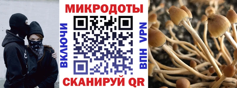 дарнет шоп  Ликино-Дулёво  Псилоцибиновые грибы ЛСД 