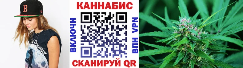 Бошки Шишки планчик  закладки  Ликино-Дулёво 